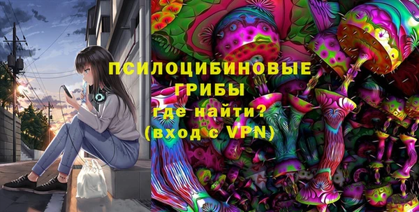 тгк Горнозаводск
