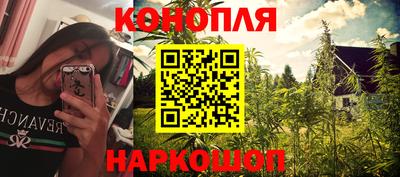 кокс Гатчина
