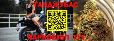 кокс Гатчина