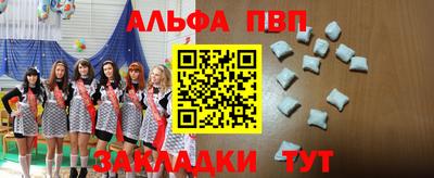 кокс Гатчина