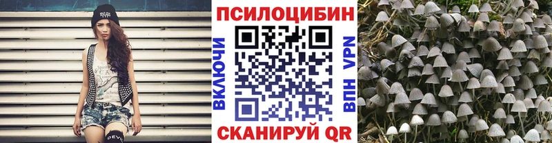 omg сайт  darknet официальный сайт  Галлюциногенные грибы мицелий  Гулькевичи 